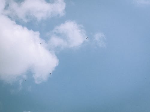 Kostenloses Stock Foto zu blauer himmel, fliegen, weiße wolken