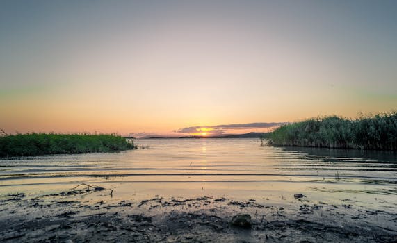 Peaceful sunset view over a tranquil lake bordered by lush grassy shores, perfect for nature lovers.