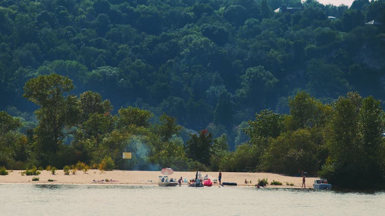 People And Trees On Beach