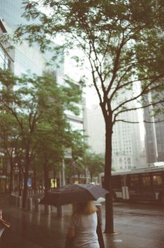 Woman with umbrella walking in rainy urban street lined with trees and buildings.