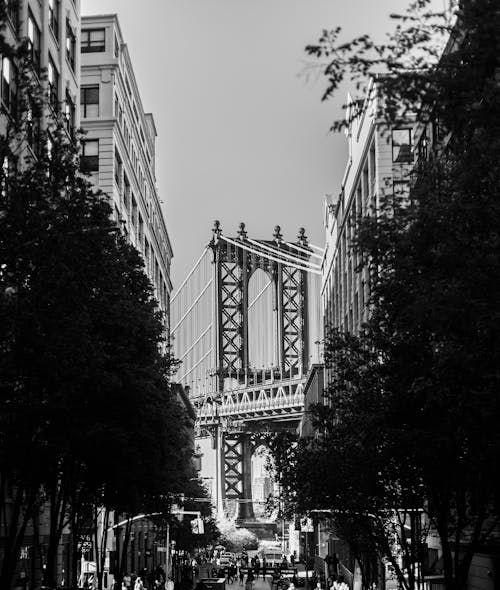 The View of the Brooklyn Bridge