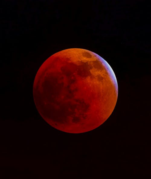 Základová fotografie zdarma na téma krvavý měsíc, luna, noční obloha