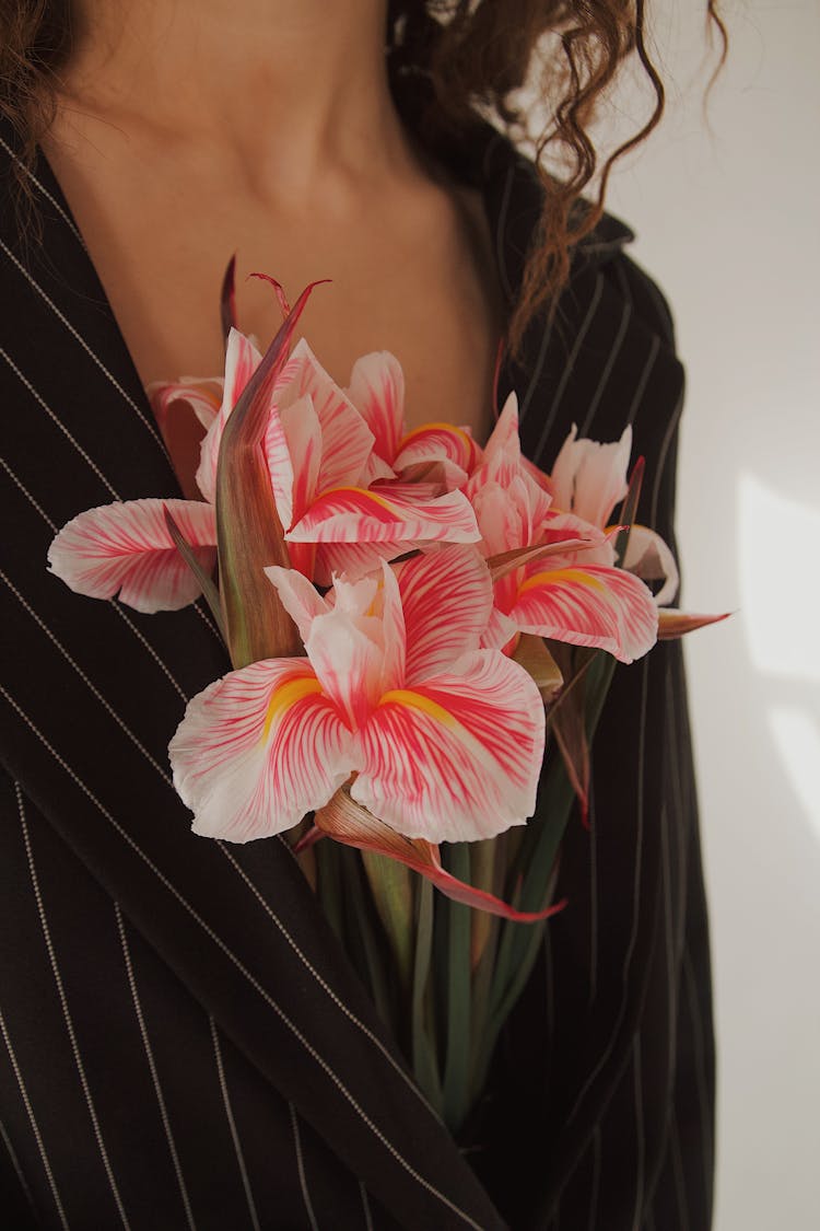 Close Up Of Red And White Flowers