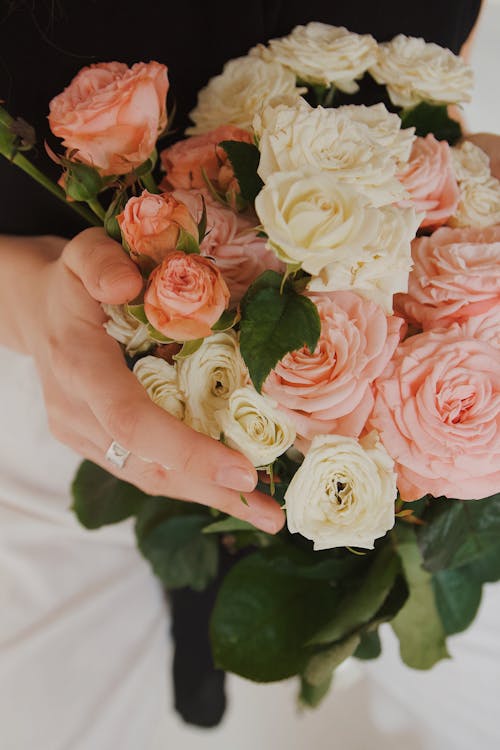 Close up of a Bouquet of Roses