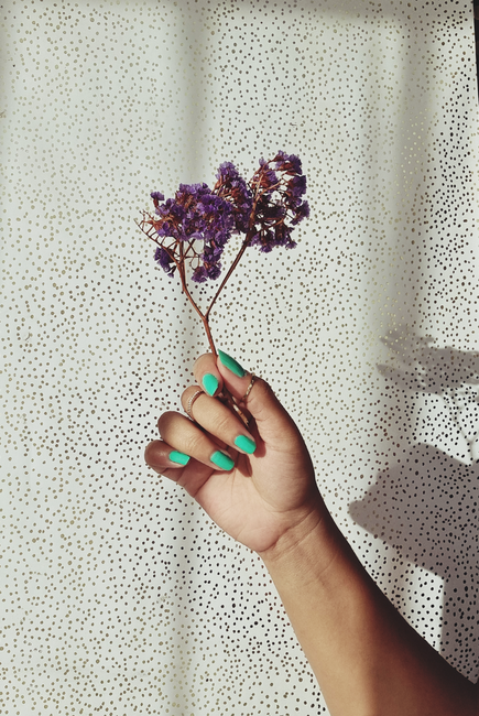 Fotomural Un acercamiento de una mano con uñas vibrantes sosteniendo una flor púrpura contra un fondo texturizado.
