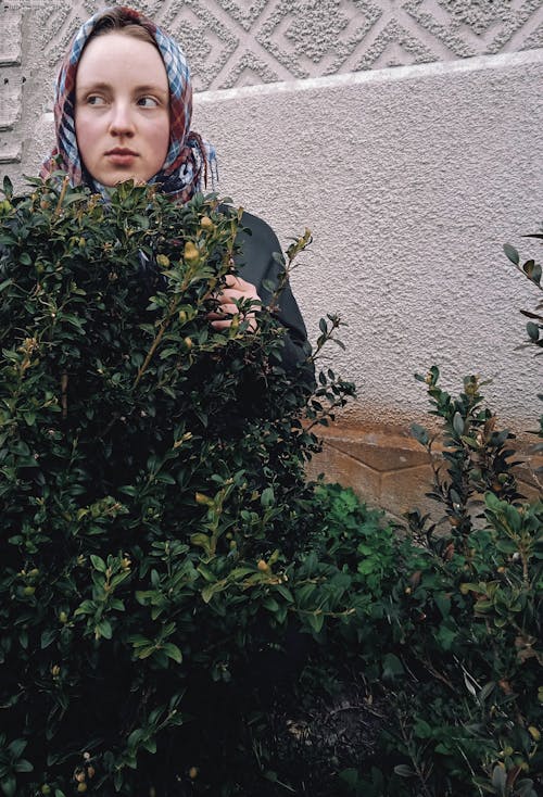 Foto profissional grátis de arbustos, bandana, de pé