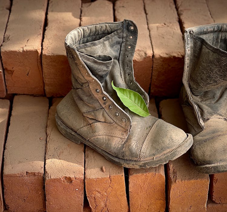 Leaf On Worn Shoes