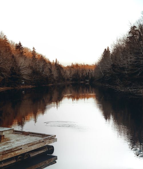 Free Serene autumn lake surrounded by trees reflecting in calm water, ideal for nature themes. Stock Photo