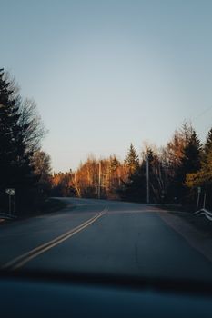 Serene rural road with autumn trees and blue sky at dusk, perfect for travel and nature themes.