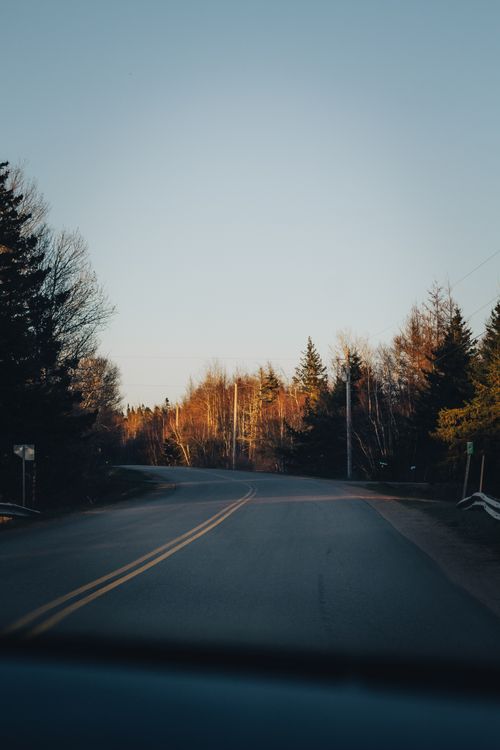 Free Serene rural road with autumn trees and blue sky at dusk, perfect for travel and nature themes. Stock Photo