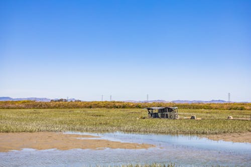 Abandoned Building in Swamp in Countryside