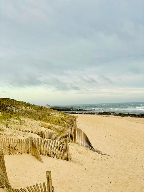 Free Peaceful sandy beach with wooden fencing in Arcozelo, Porto District. Stock Photo