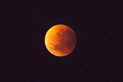 Free Fotos de stock gratuitas de astrofotografía, eclipse, eclipse lunar Stock Photo