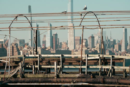 Бесплатное стоковое фото с вид на Нью-Йорк, видео с дрона в нью-йорке, выражение