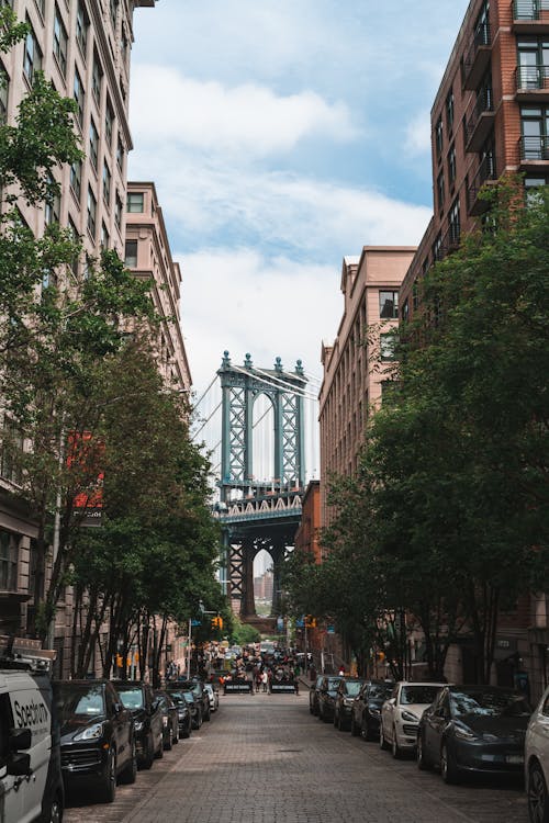 People Walking on Street Between Buildings