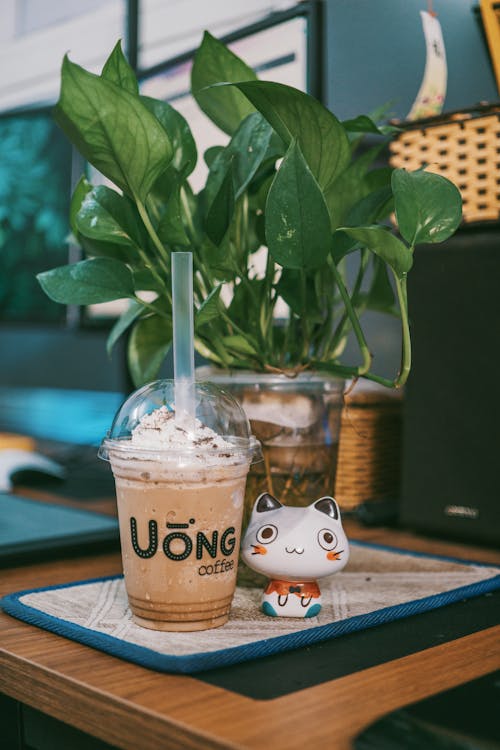 Uong Coffee Disposable Cup Near Cat Figurine on Table