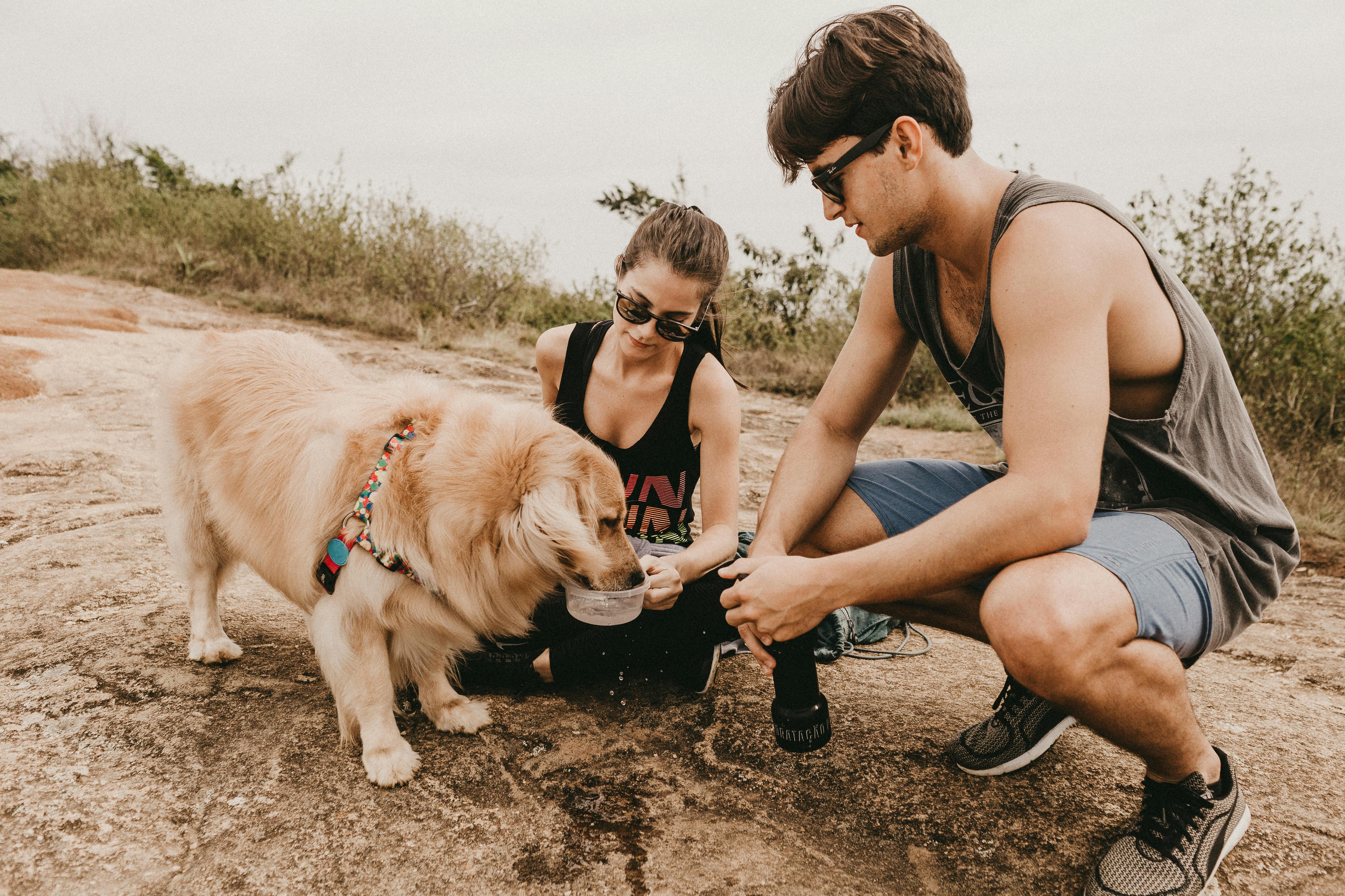 pet care pet health — Photo by Jonathan Borba on Pexels