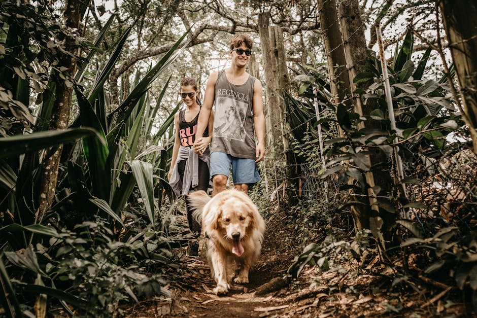travel essentials for pets flying - Man and woman hiking with their Golden Retriever on a forest path, enjoying nature.