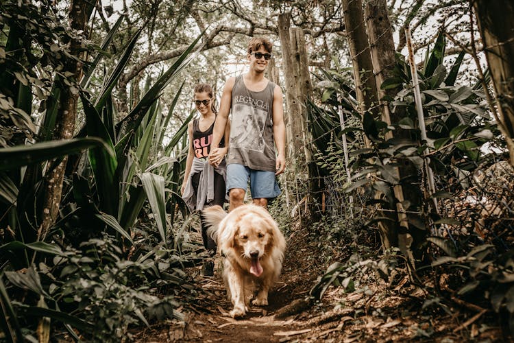 Man And Woman In Tank Top Walking In The Woods With A Brown Dog