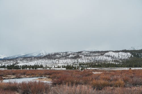 Fog over Mountains