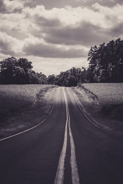 Grayscale Photo of Country Road under the Cloudy Sky