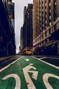 Yellow and Black Pedestrian Lane in the Middle of High Rise Buildings