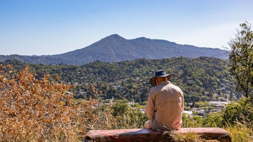 Free Back View of a Man Sitting Alone on Bench in Front of Mountains Stock Photo