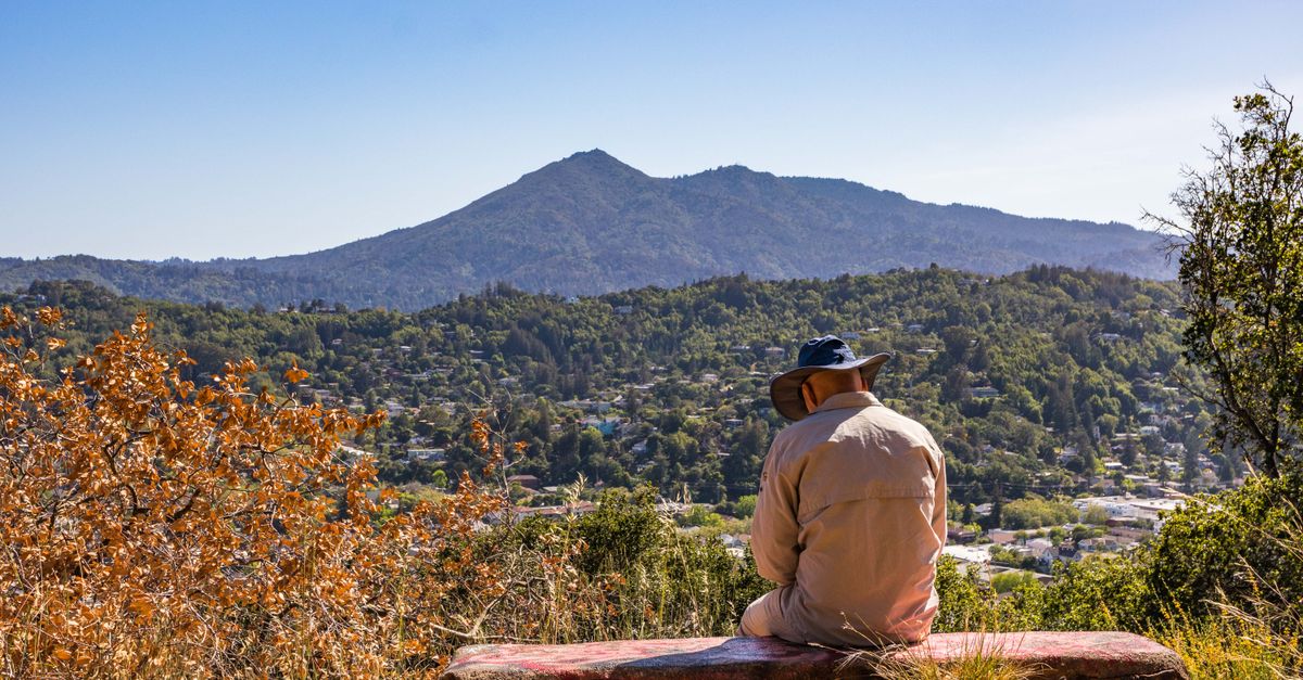 A man sits alone on a hill, overlooking a lush valley and distant mountains.