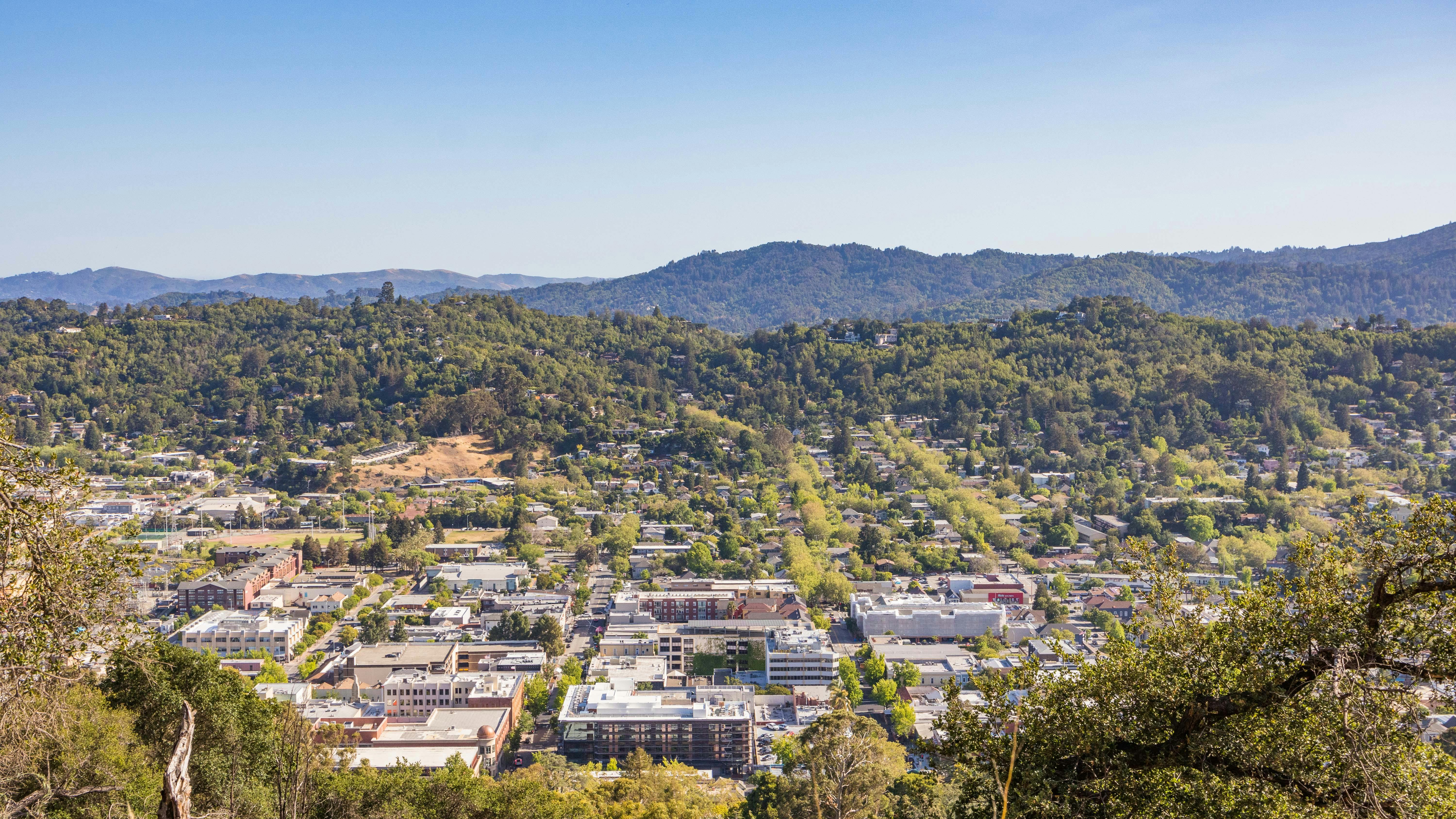 The Two-Week Window That Could Break Global Commodity Markets