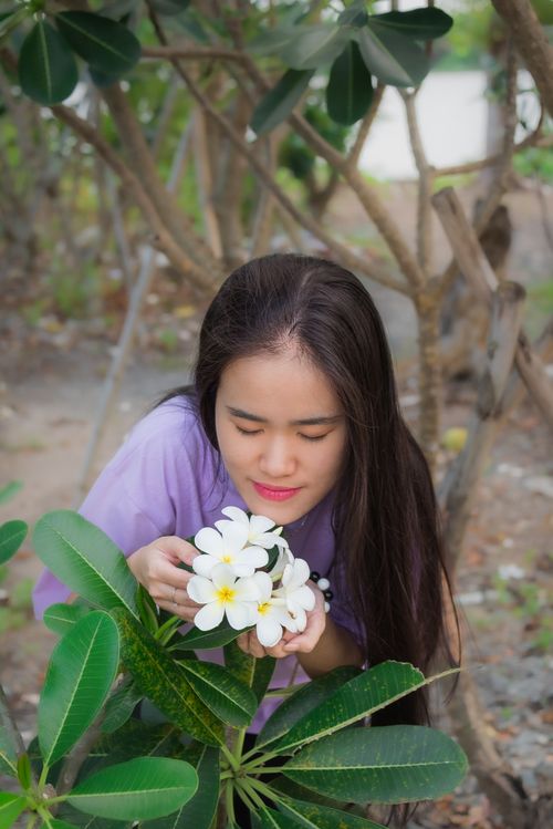 Free A young woman with long hair gently holding and admiring a cluster of white frangipani flowers outdoors. Stock Photo