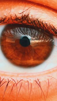 Detailed macro image of a human eye showing eyelashes and reflections.