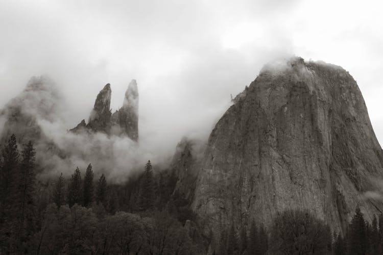 Fog Over The Mountains And Trees