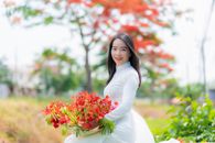 Áo dài với hoa phượng - Phoenix Flowers with Long Dress - Long An Viet Nam