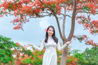 Áo dài với hoa phượng đỏ - Red phoenix flowers with long dress