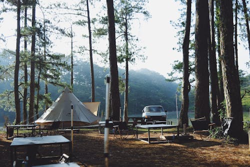 Kostenloses Stock Foto zu auto, bäume, campingplatz