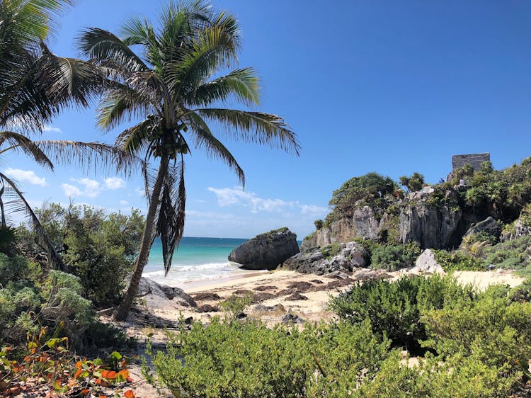 A Gray Cliff On Seashore On A Tropical Island