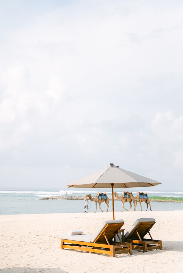 Deck Chairs On A Beach