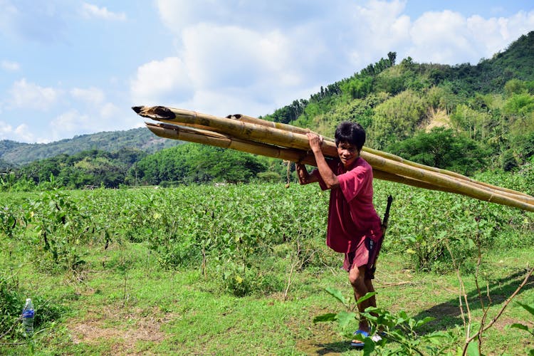 Man Carrying Bamboo