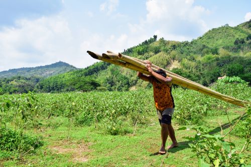 Free A farmer carries bamboo through lush green hills under a bright sky in a rural setting. Stock Photo