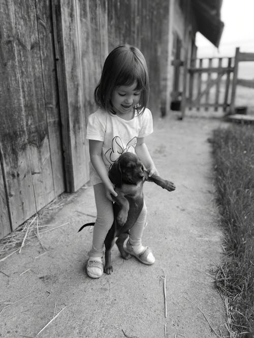 Foto profissional grátis de animal de estimação, cachorro, criança