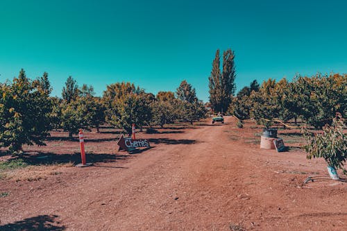 Fotobanka s bezplatnými fotkami na tému cesta nečistôt, dno, farma