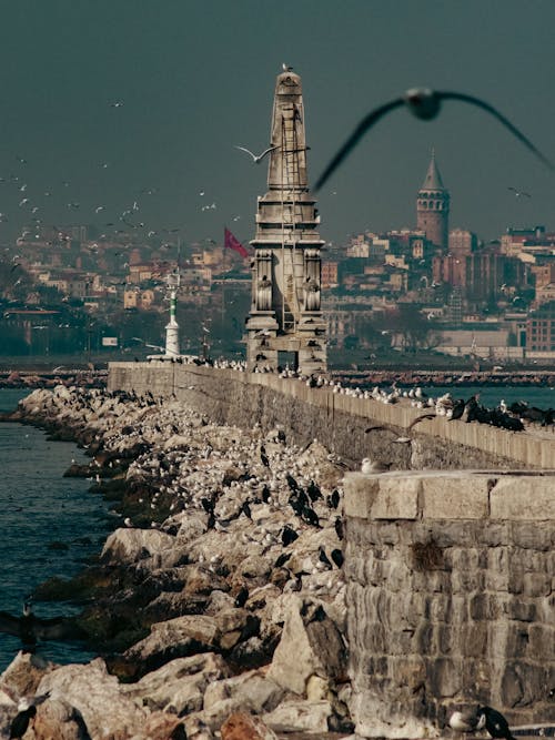 Brown Concrete Tower Near Body of Water