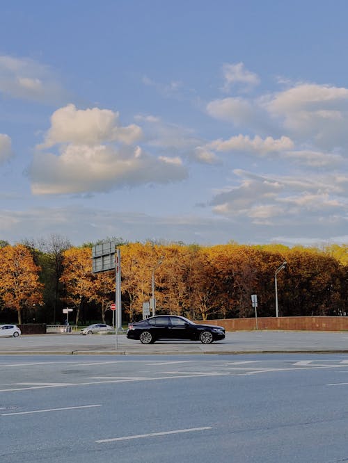 가을, 검은 차, 구름의 무료 스톡 사진