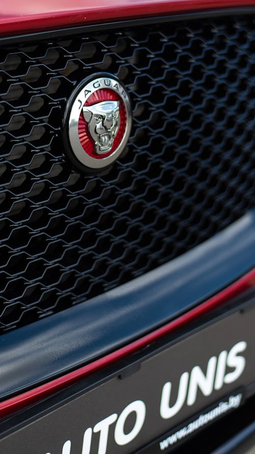 Close-up of the Emblem of a Car