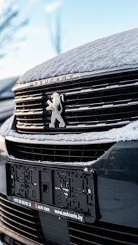 Detailed shot of a Peugeot car grille covered in snow, showcasing luxury design.