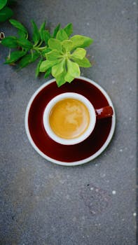 A perfect shot of espresso in a red cup surrounded by green leaves on a textured grey surface.