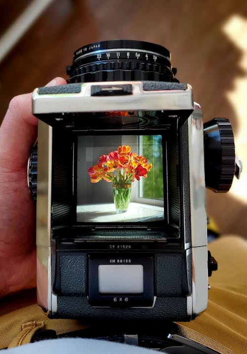 Gratis lagerfoto af blomster, gammelt kamera, lodret skud