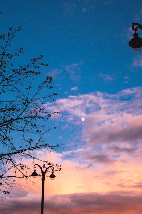 Δωρεάν στοκ φωτογραφιών με απόγευμα, αυγή, βραδινός ουρανός Φωτογραφία από στοκ φωτογραφιών