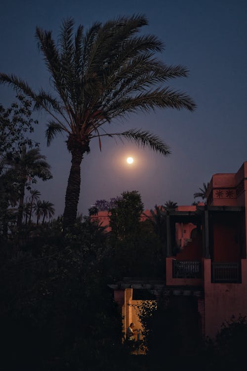 Moon over Town