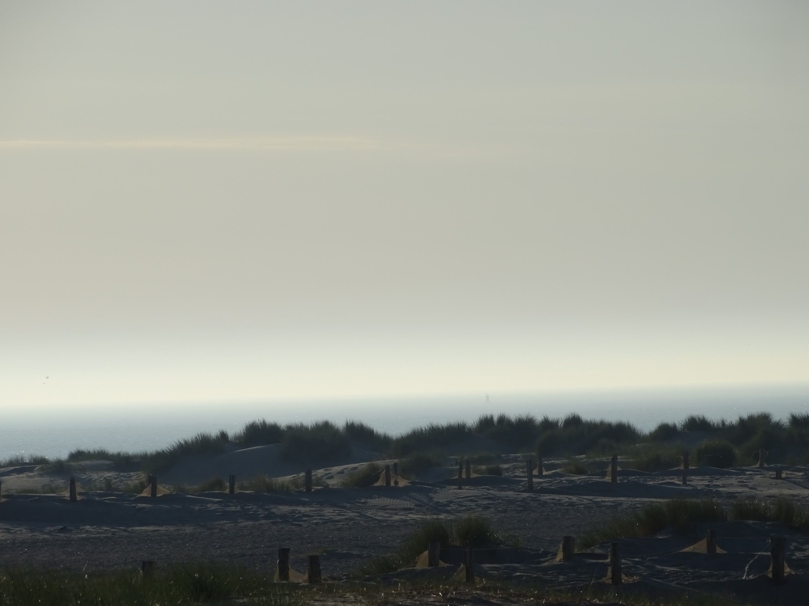 Una playa de dunas al amanecer